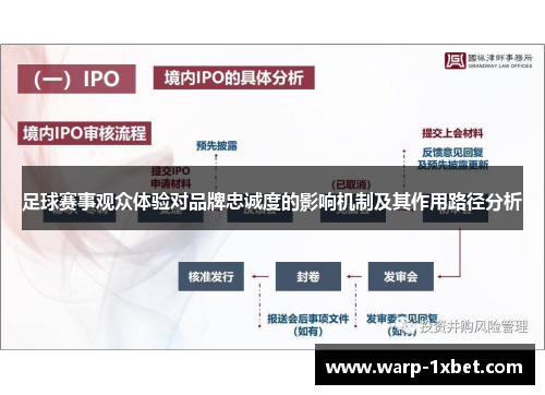足球赛事观众体验对品牌忠诚度的影响机制及其作用路径分析