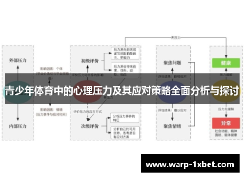 青少年体育中的心理压力及其应对策略全面分析与探讨
